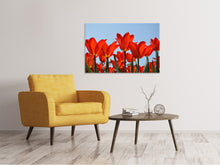 Laden Sie das Bild in den Galerie-Viewer, Leinwandbild Rote Tulpen XL