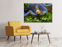 Laden Sie das Bild in den Galerie-Viewer, Leinwandbild Süsser Clownfisch