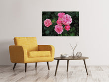 Laden Sie das Bild in den Galerie-Viewer, Leinwandbild Die wilden Rosen in pink