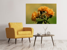 Laden Sie das Bild in den Galerie-Viewer, Leinwandbild Die Rosen in der Natur