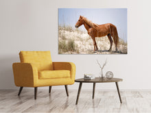 Laden Sie das Bild in den Galerie-Viewer, Leinwandbild Wilder spanischer Mustang
