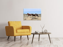 Laden Sie das Bild in den Galerie-Viewer, Leinwandbild 3 Pferde in der Natur