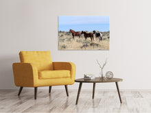 Laden Sie das Bild in den Galerie-Viewer, Leinwandbild 3 Pferde in der Natur