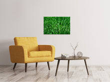 Laden Sie das Bild in den Galerie-Viewer, Leinwandbild Die Wiese in XL