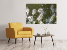 Laden Sie das Bild in den Galerie-Viewer, Leinwandbild Ziergräser in XL