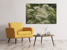 Laden Sie das Bild in den Galerie-Viewer, Leinwandbild Ziergrass im Wind