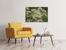 Laden Sie das Bild in den Galerie-Viewer, Leinwandbild Ziergrass im Wind