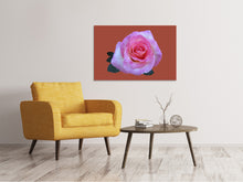 Laden Sie das Bild in den Galerie-Viewer, Leinwandbild Rose in pink XXL