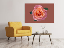 Laden Sie das Bild in den Galerie-Viewer, Leinwandbild Rose in apricot XXL