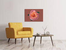 Laden Sie das Bild in den Galerie-Viewer, Leinwandbild Rose in apricot XXL