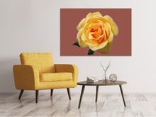 Laden Sie das Bild in den Galerie-Viewer, Leinwandbild Rose in gelb XXL