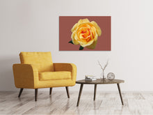 Laden Sie das Bild in den Galerie-Viewer, Leinwandbild Rose in gelb XXL