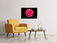 Laden Sie das Bild in den Galerie-Viewer, Leinwandbild Rose in rot XXL