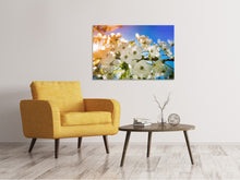 Laden Sie das Bild in den Galerie-Viewer, Leinwandbild Die Apfelbaum Blüte