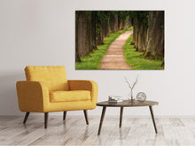 Laden Sie das Bild in den Galerie-Viewer, Leinwandbild Ein Weg im Wald