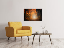 Laden Sie das Bild in den Galerie-Viewer, Leinwandbild Herbstlicht im Wald