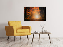 Laden Sie das Bild in den Galerie-Viewer, Leinwandbild Herbstlicht im Wald