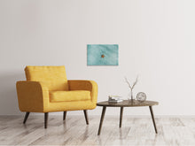 Laden Sie das Bild in den Galerie-Viewer, Leinwandbild Der kleine Seestern
