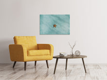 Laden Sie das Bild in den Galerie-Viewer, Leinwandbild Der kleine Seestern