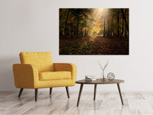 Laden Sie das Bild in den Galerie-Viewer, Leinwandbild Der Laubwald