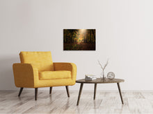 Laden Sie das Bild in den Galerie-Viewer, Leinwandbild Der Laubwald