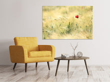 Laden Sie das Bild in den Galerie-Viewer, Leinwandbild Eine Mohnblume