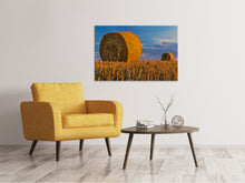 Laden Sie das Bild in den Galerie-Viewer, Leinwandbild Strohballen