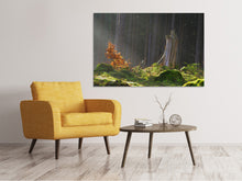 Laden Sie das Bild in den Galerie-Viewer, Leinwandbild Der Zauber im Wald