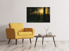 Laden Sie das Bild in den Galerie-Viewer, Leinwandbild Sonnenuntergang im Wald