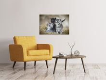 Laden Sie das Bild in den Galerie-Viewer, Leinwandbild Kitten Trio