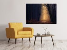 Laden Sie das Bild in den Galerie-Viewer, Leinwandbild Abendstimmung im Wald