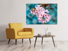 Laden Sie das Bild in den Galerie-Viewer, Leinwandbild Close up Blume