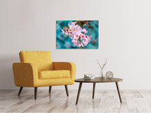 Laden Sie das Bild in den Galerie-Viewer, Leinwandbild Close up Blume