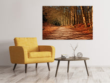 Laden Sie das Bild in den Galerie-Viewer, Leinwandbild Natur im Herbst