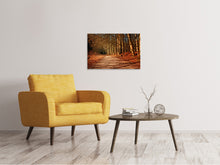 Laden Sie das Bild in den Galerie-Viewer, Leinwandbild Natur im Herbst