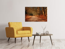 Laden Sie das Bild in den Galerie-Viewer, Leinwandbild Natur im Herbst
