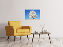 Laden Sie das Bild in den Galerie-Viewer, Leinwandbild Winter Baum