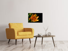 Laden Sie das Bild in den Galerie-Viewer, Leinwandbild Close up Lilie in orange