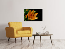 Laden Sie das Bild in den Galerie-Viewer, Leinwandbild Close up Lilie in orange