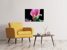 Laden Sie das Bild in den Galerie-Viewer, Leinwandbild Zantedeschien