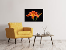 Laden Sie das Bild in den Galerie-Viewer, Leinwandbild Eine Lilien Blüte in orange