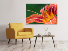 Laden Sie das Bild in den Galerie-Viewer, Leinwandbild XXL Lilie in orange