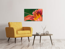 Laden Sie das Bild in den Galerie-Viewer, Leinwandbild XXL Lilie in orange
