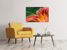 Laden Sie das Bild in den Galerie-Viewer, Leinwandbild XXL Lilie in orange