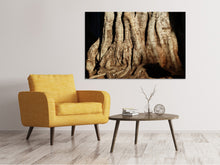 Laden Sie das Bild in den Galerie-Viewer, Leinwandbild Baum Close Up