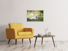 Laden Sie das Bild in den Galerie-Viewer, Leinwandbild Niedliche Spitz Welpe
