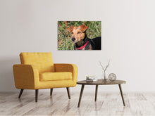 Laden Sie das Bild in den Galerie-Viewer, Leinwandbild Aufmerksamer Hund