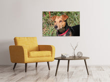Laden Sie das Bild in den Galerie-Viewer, Leinwandbild Aufmerksamer Hund