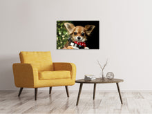 Laden Sie das Bild in den Galerie-Viewer, Leinwandbild Schau mir in die Augen Kleines !