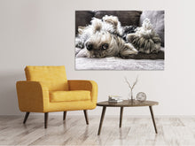 Laden Sie das Bild in den Galerie-Viewer, Leinwandbild 2 niedliche Hunde